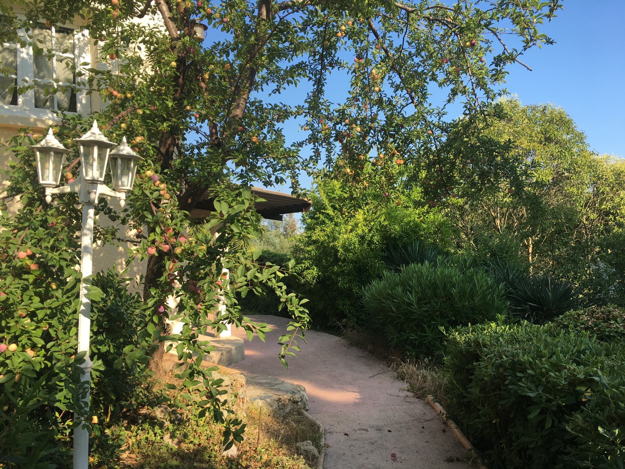 Ensemble Immobilier à Ghisonaccia — photo 8