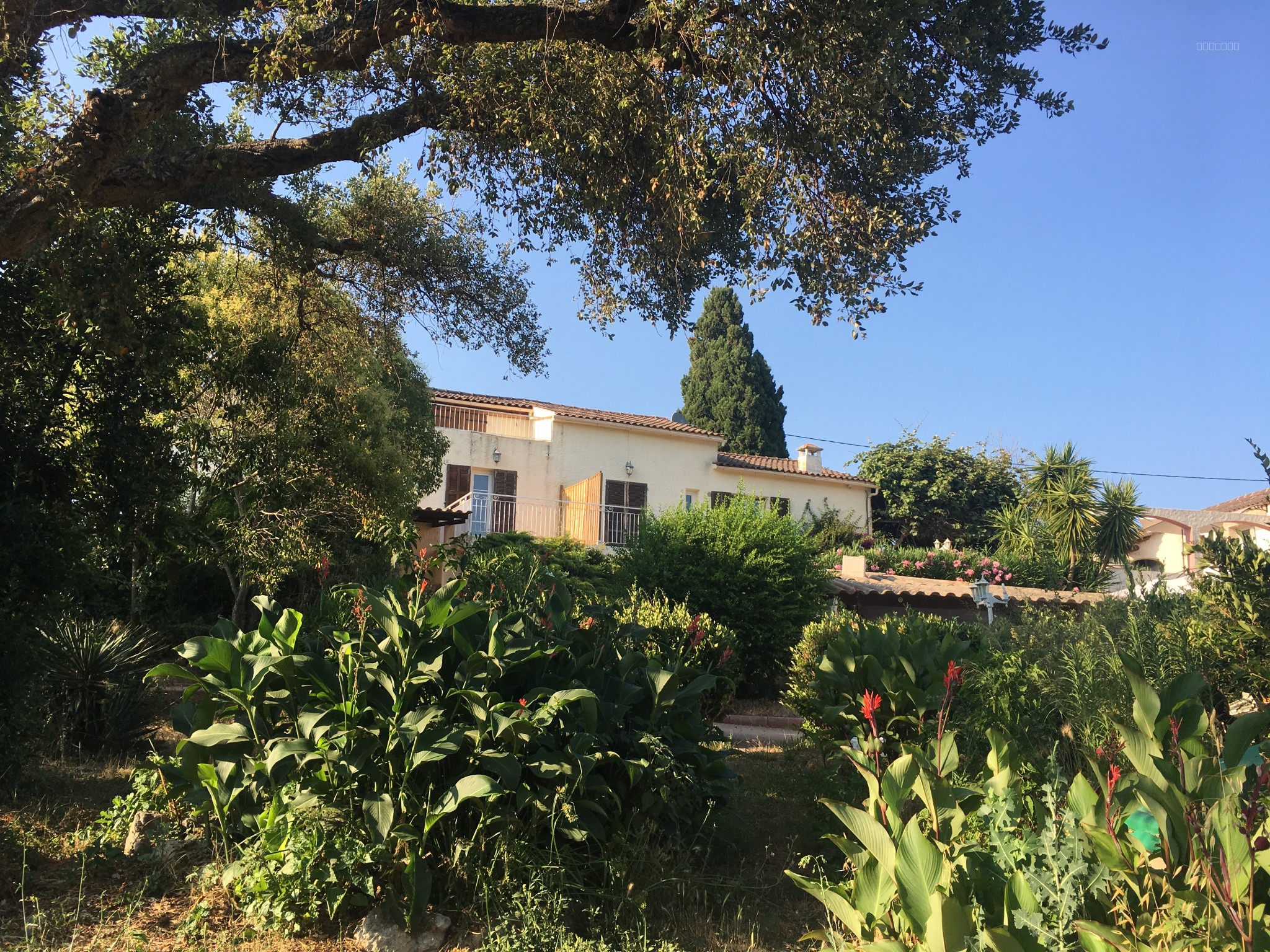 Ensemble Immobilier à Ghisonaccia — photo 11