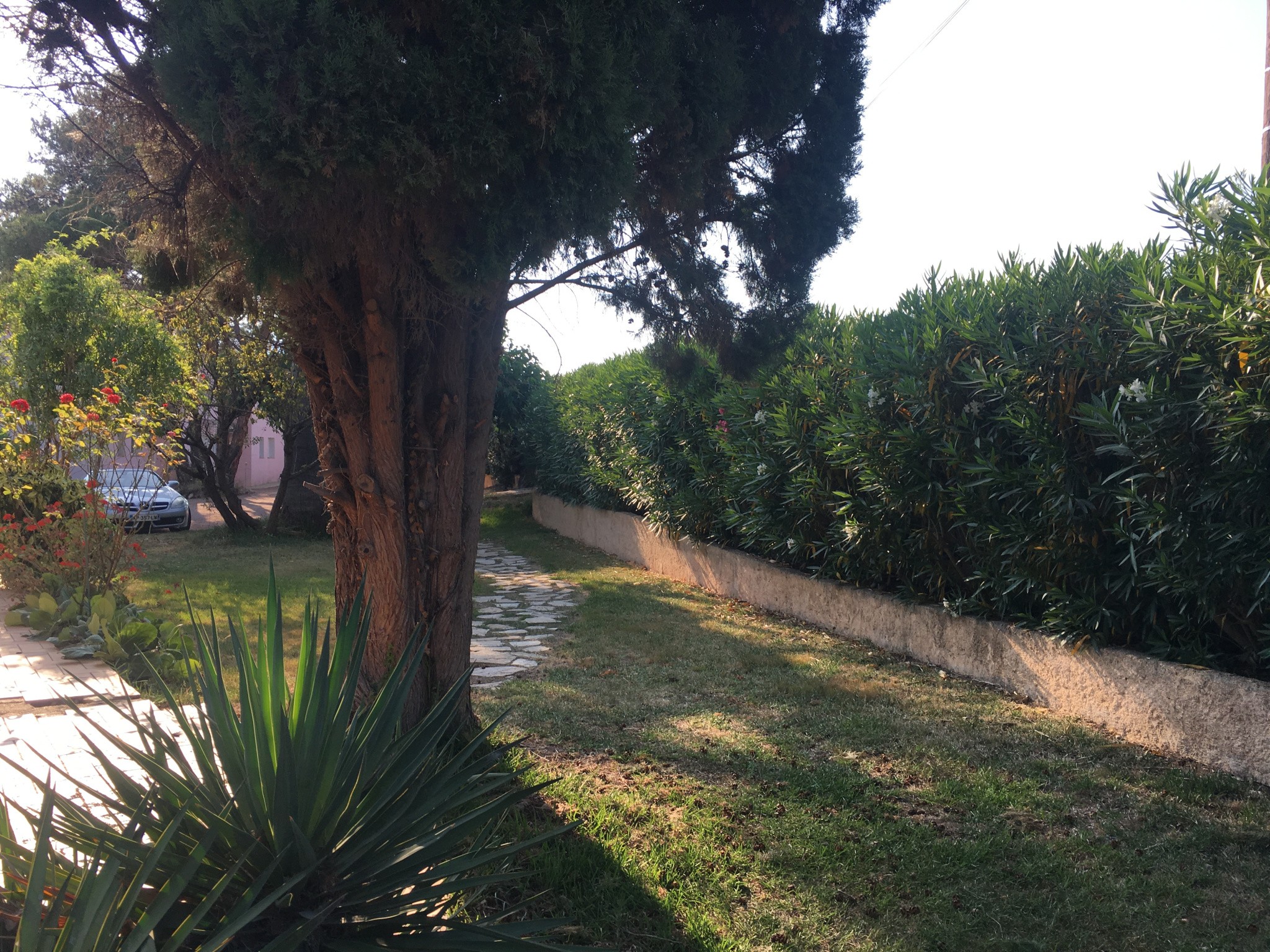 Ensemble Immobilier à Ghisonaccia — photo 17