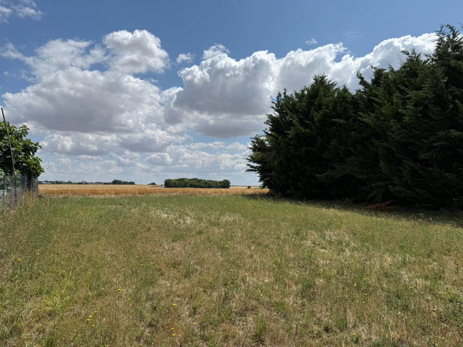 Terrain à bâtir Erceville — photo 2