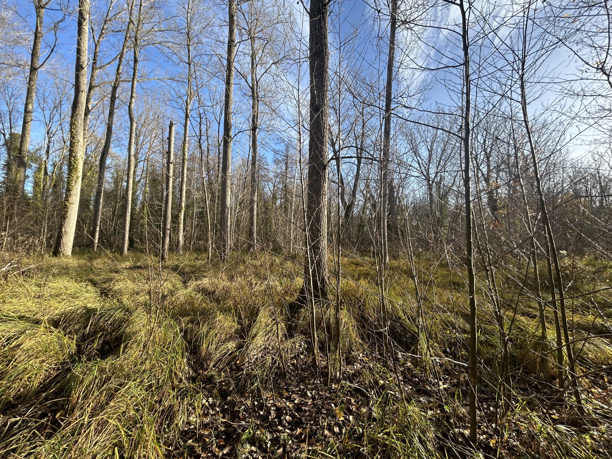 PROPRIETE EN PIERRE de 260m2 à ABBEVILLE LA RIVIERE — photo 19
