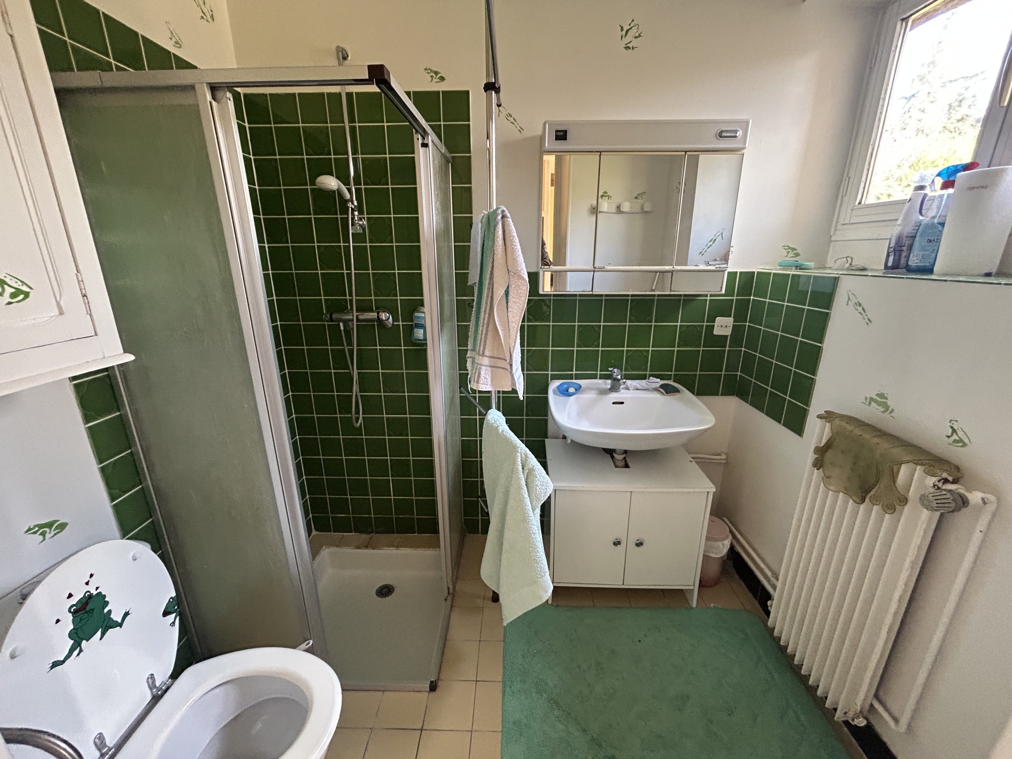 PROPRIETE EN PIERRE de 260m2 à ABBEVILLE LA RIVIERE — photo 8