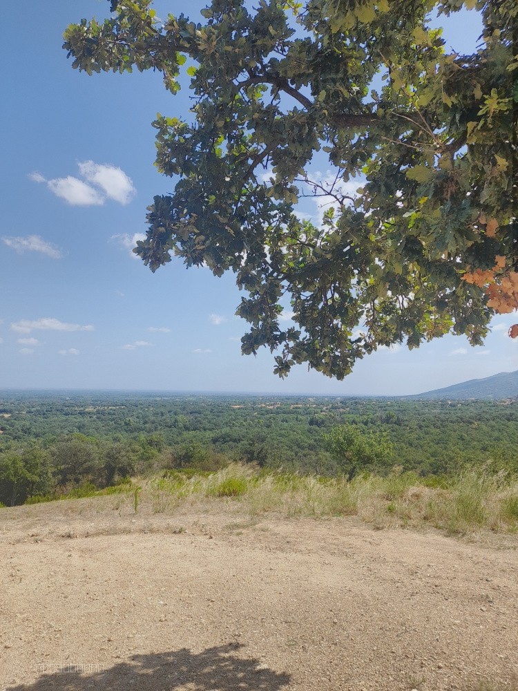 Magnifique terrain de 710 m2 avec vue Mer — photo 2