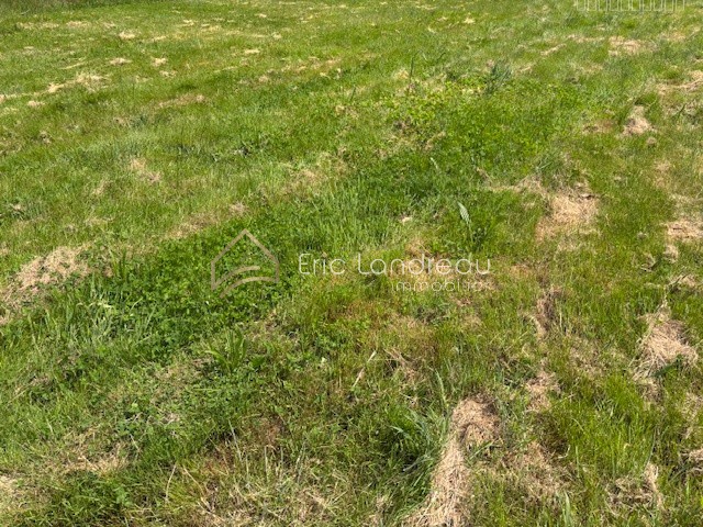 Terrain constructible de 770 m2