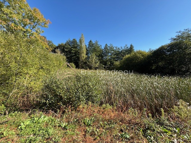 Terrain avec un étang - 4370 m2 — photo 2