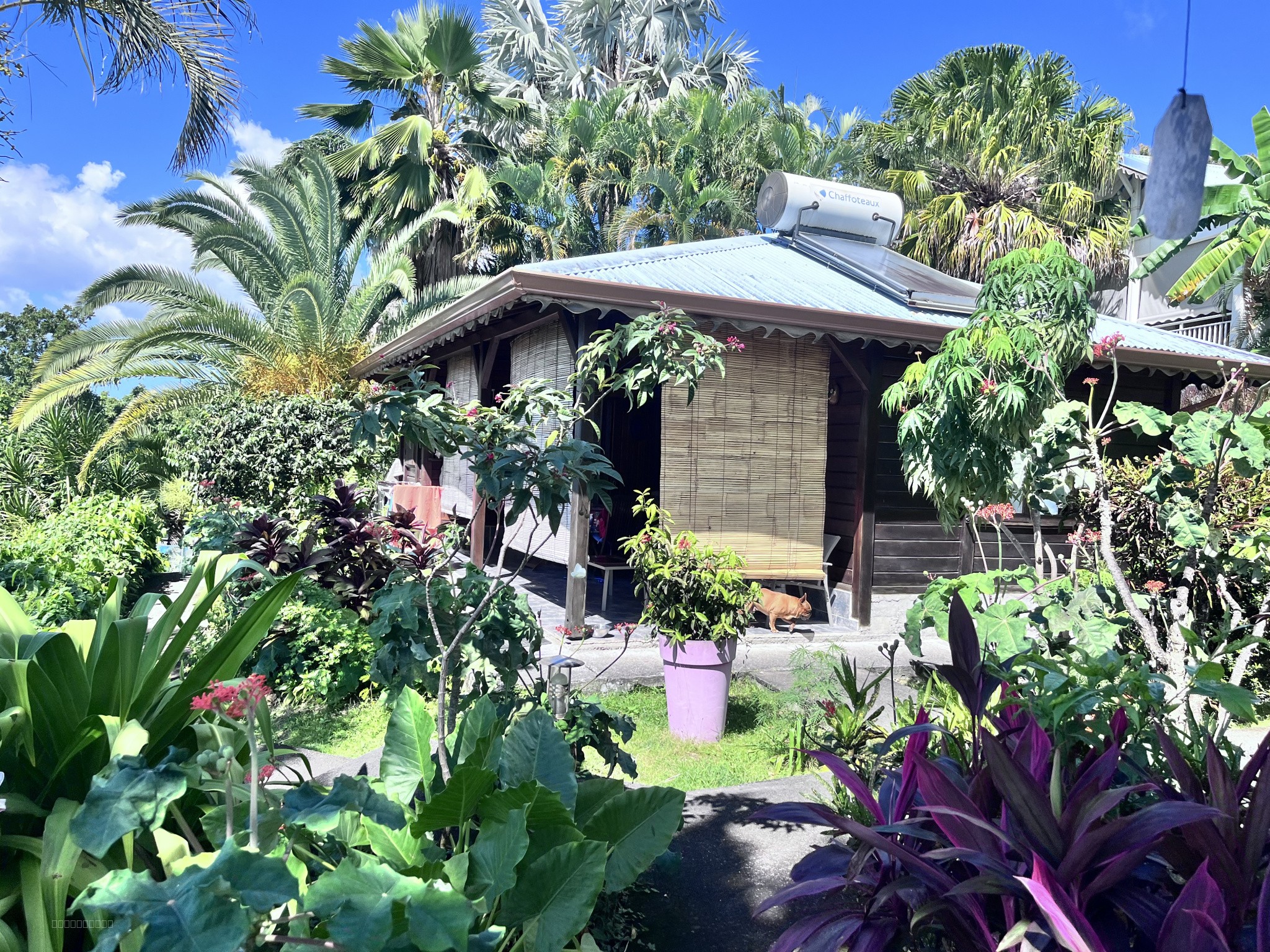 Gîte d'exception vue mer — photo 10