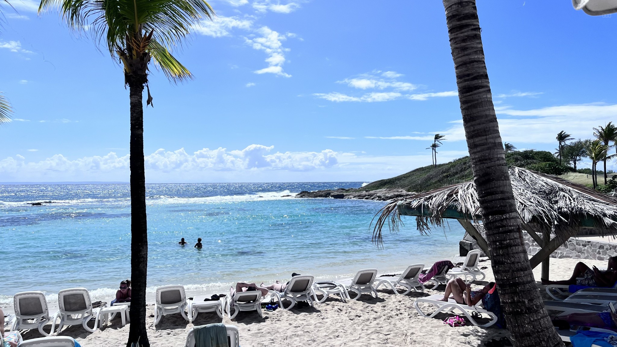Vente exclusive   Deux appartements contigus avec accès plage privative tropicale — photo 3