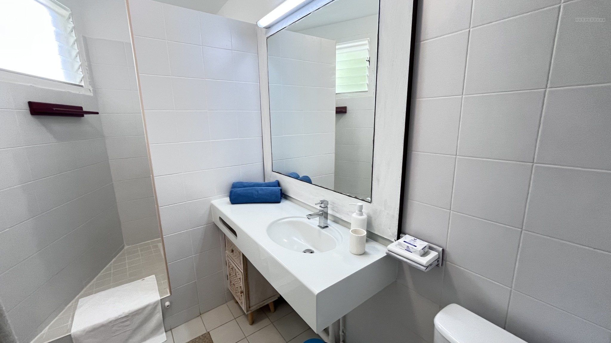 Vente exclusive   Deux appartements contigus avec accès plage privative tropicale — photo 5