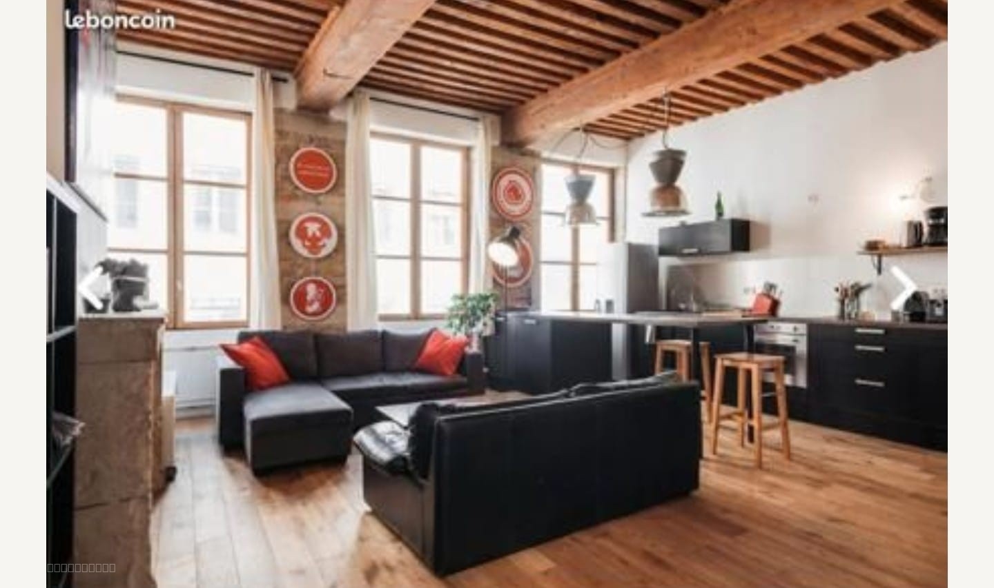 Appartement Haut de Gamme  rue Imbert-Colomès   Lyon 1er — photo 2