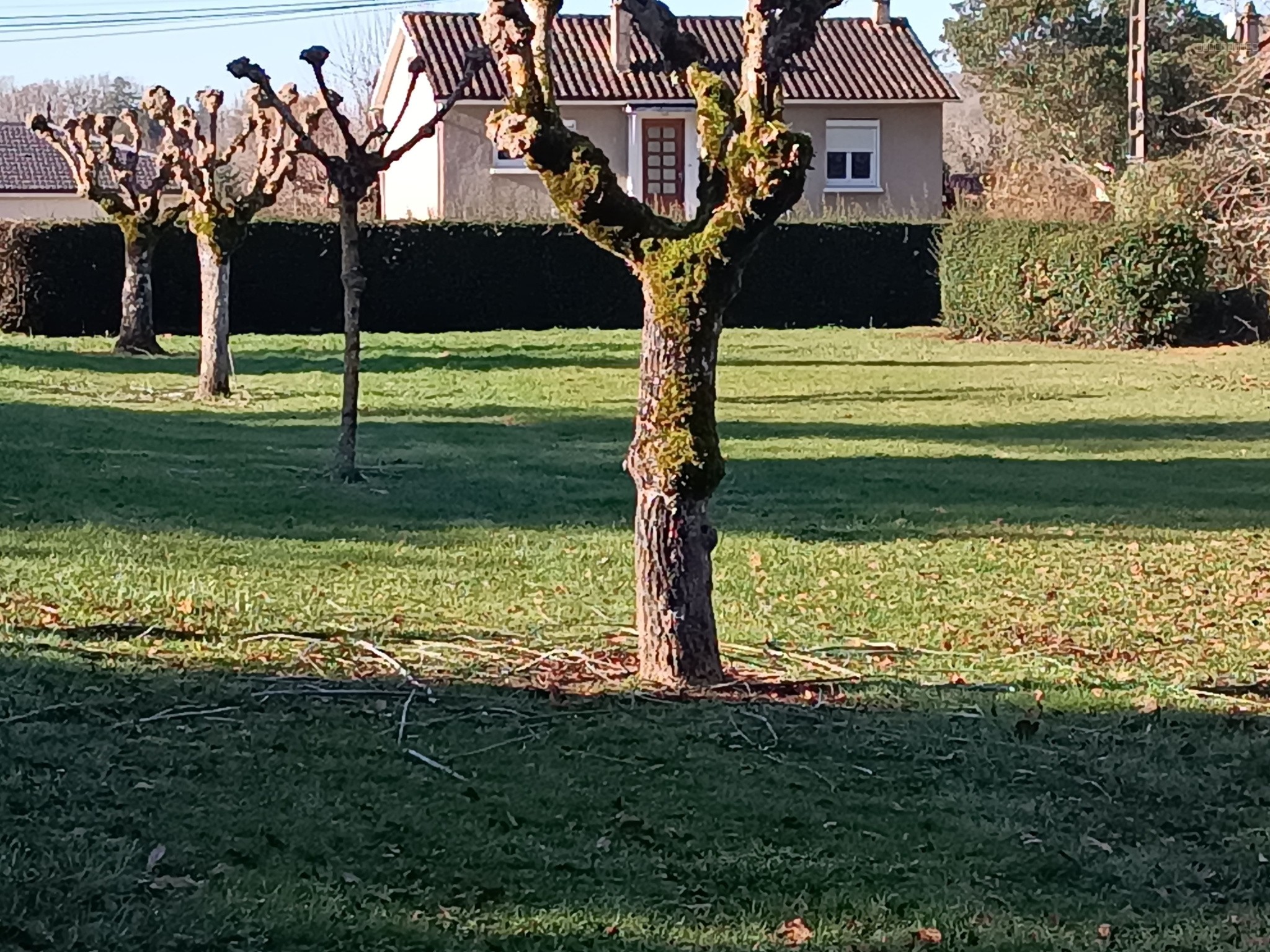 Maison traditionnelle 190 m2 avec grand terrain divisible de 8000 m2 — photo 13