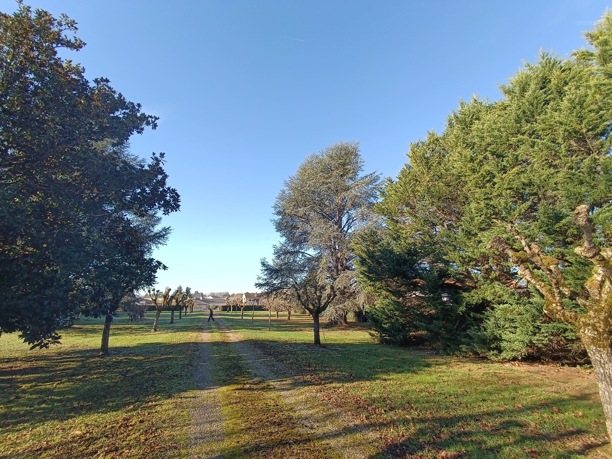 Maison traditionnelle 190 m2 avec grand terrain divisible de 8000 m2 — photo 15