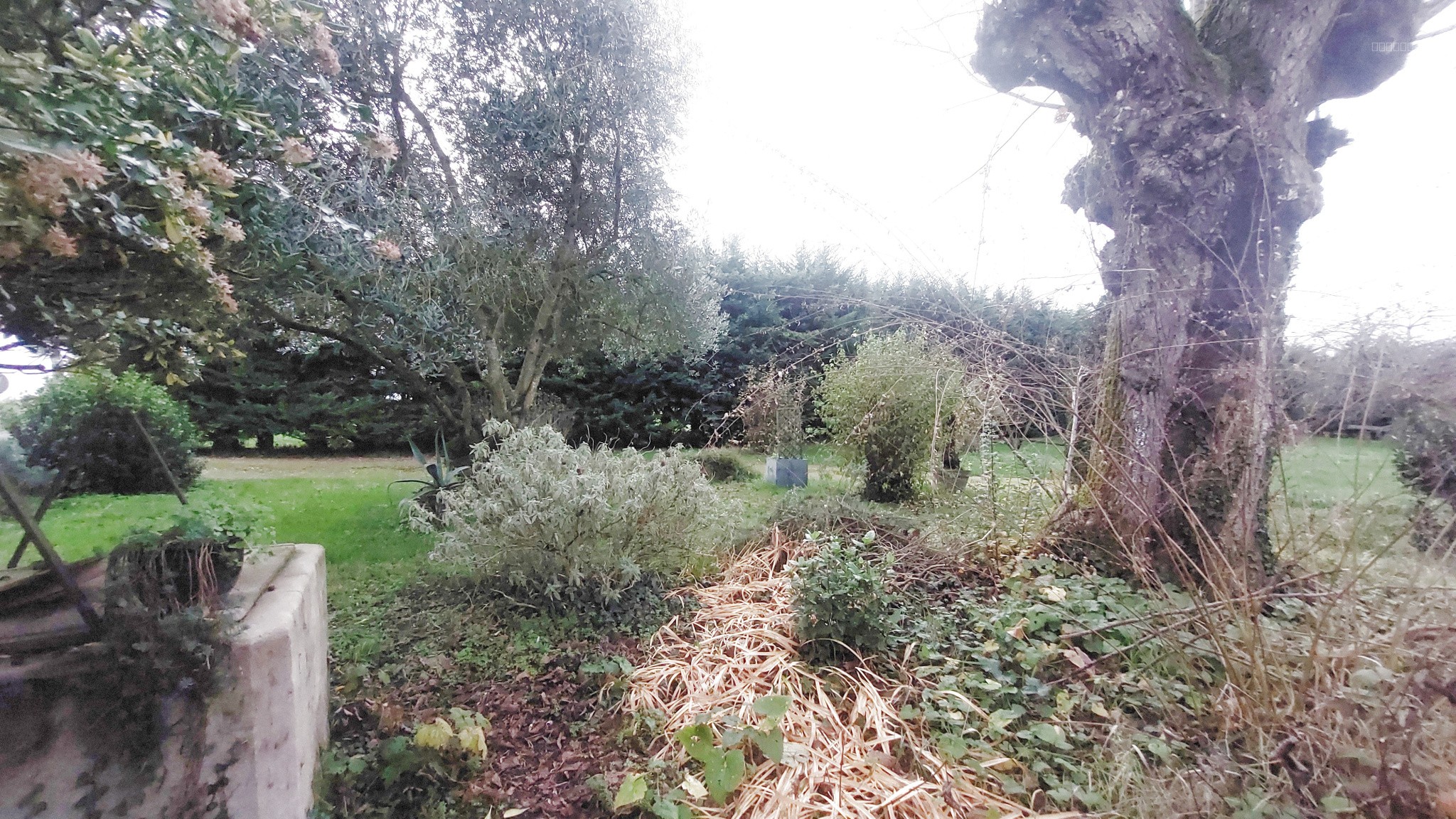 Maison charentaise à la campagne proche de Saint-Savinien — photo 7