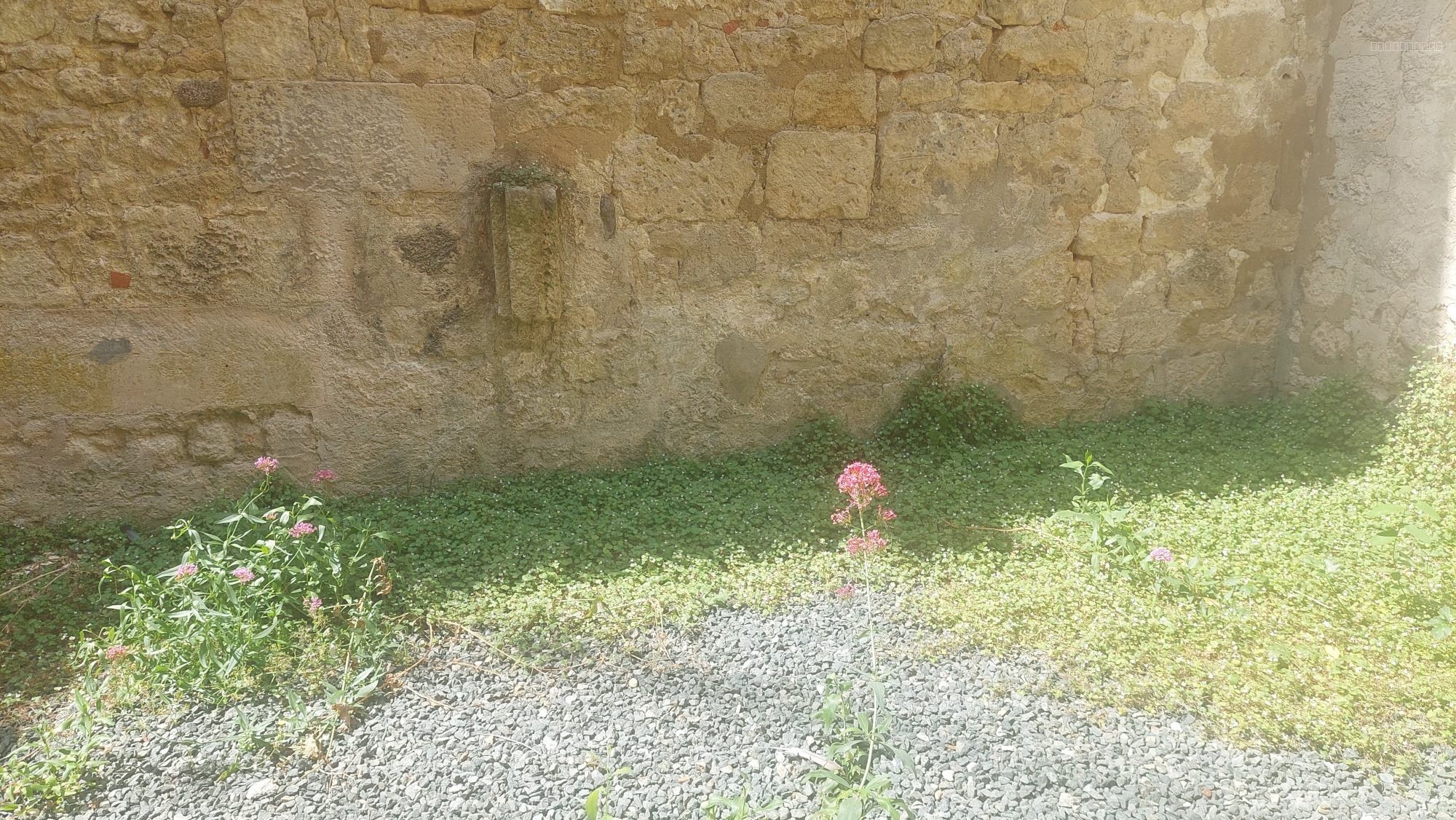 maison St savinien — photo 13
