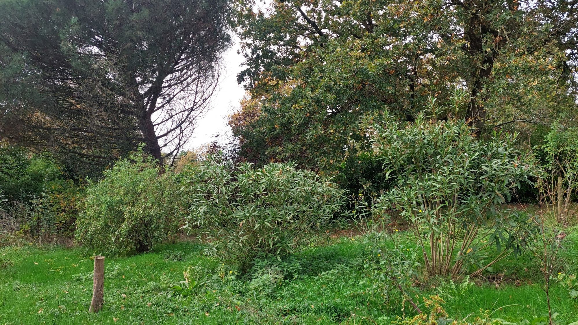 Terrain dans secteur privilégié — photo 1