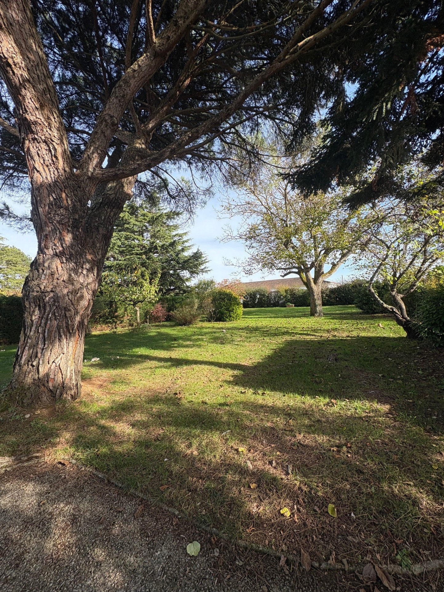 Maison de 4 chambres sur sous sol avec jardin arboré au calme — photo 7