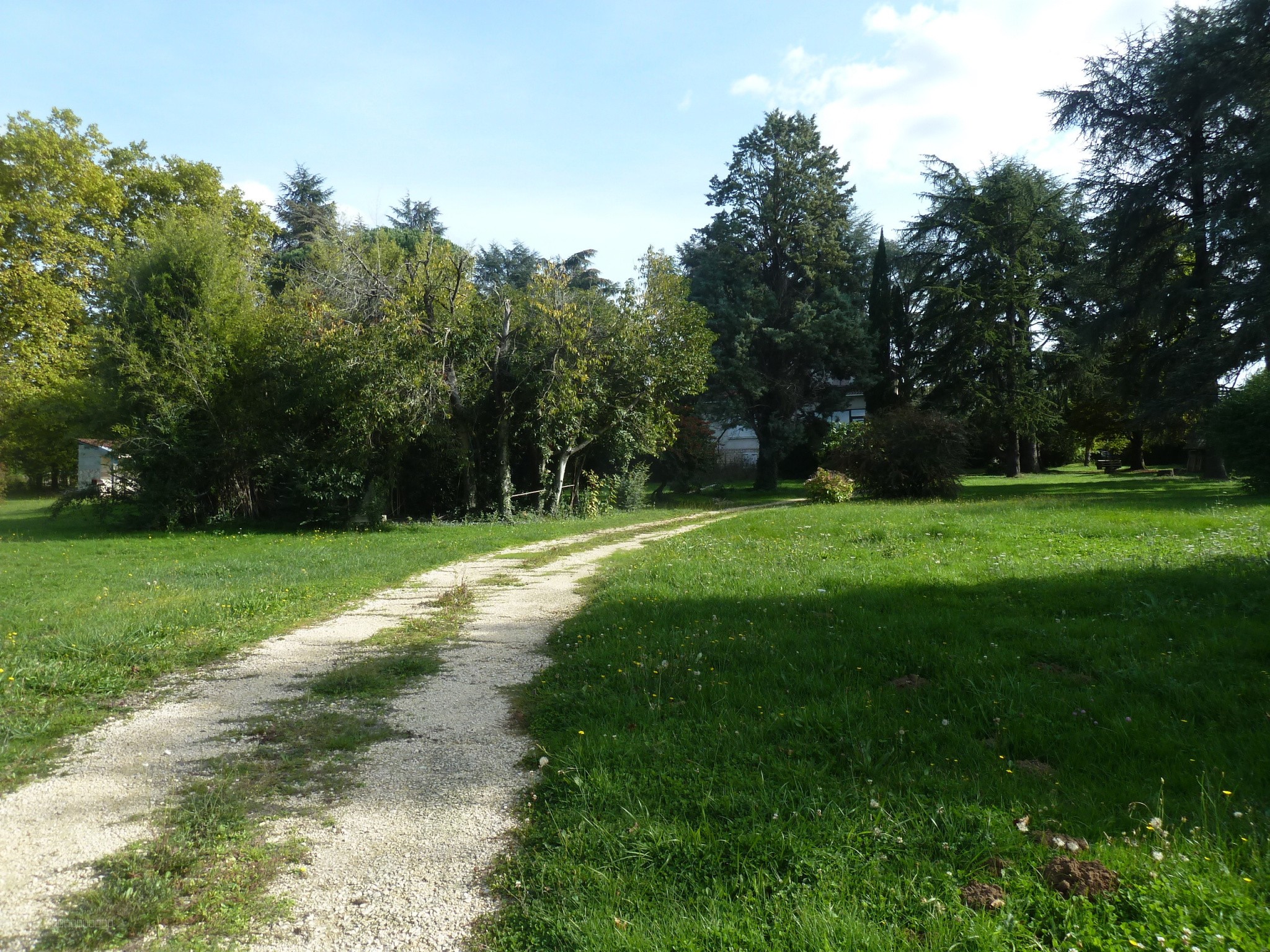 A VENDRE TRES BELLE MAISON BOURGEOISE AVEC PARC PAYSAGER D'UN PEU PLUS D'UN HECTARE ET PISCINE — photo 4