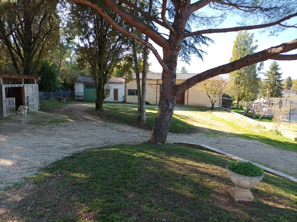 Venez découvrir cette agréable maison semi-enterré sur un jolie terrain arboré de 2400 m2 avec un puit — photo 6