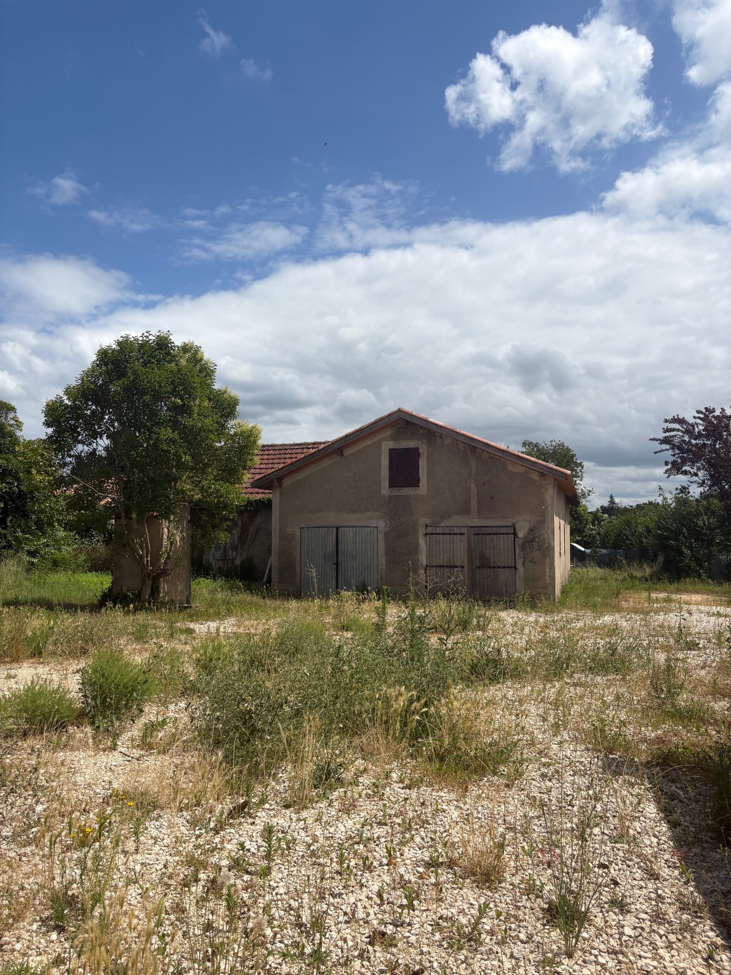 INVESTISSEMENT LOCATIF — photo 4