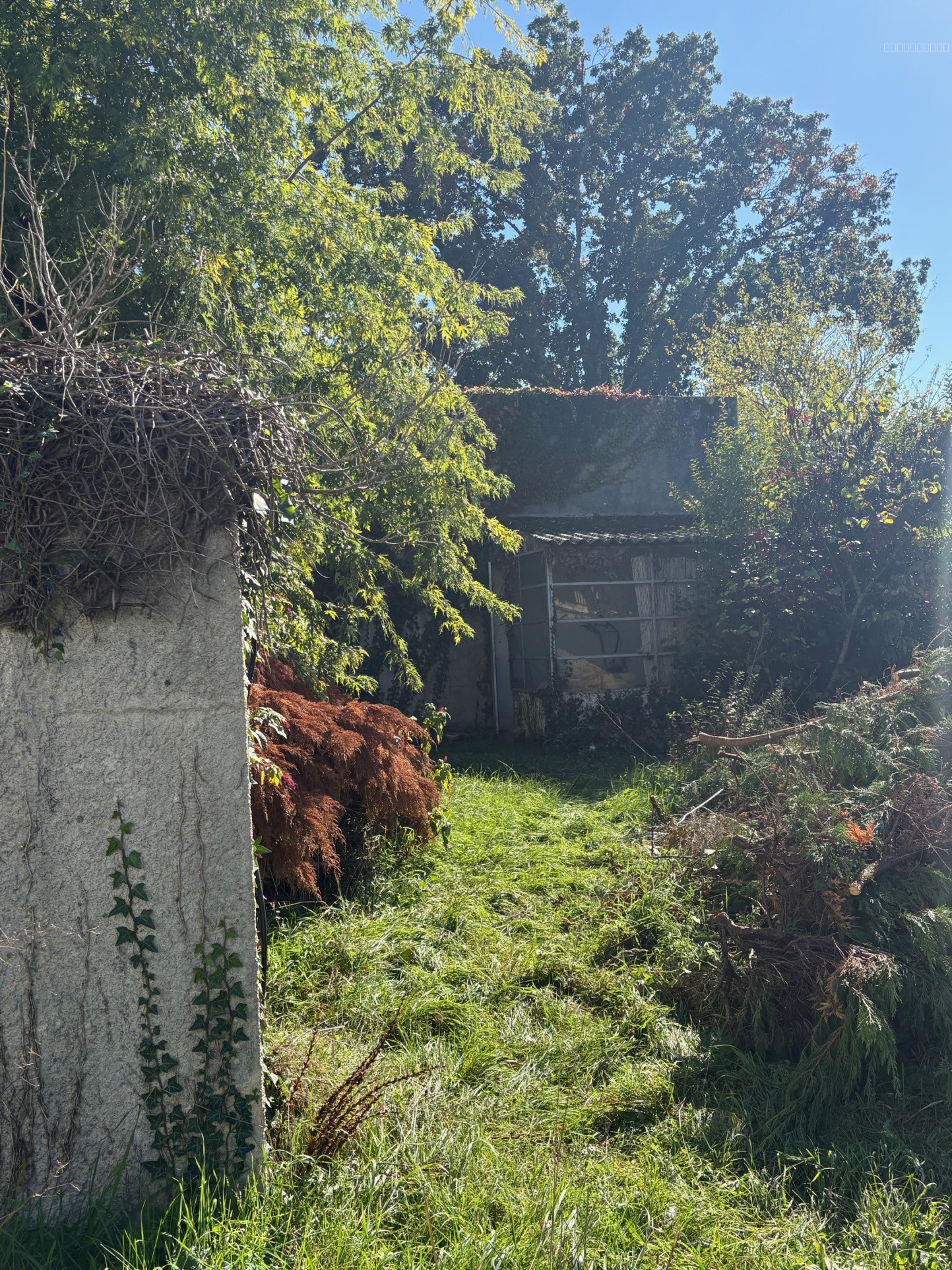 Maison de ville au centre de Monsempron libos — photo 5