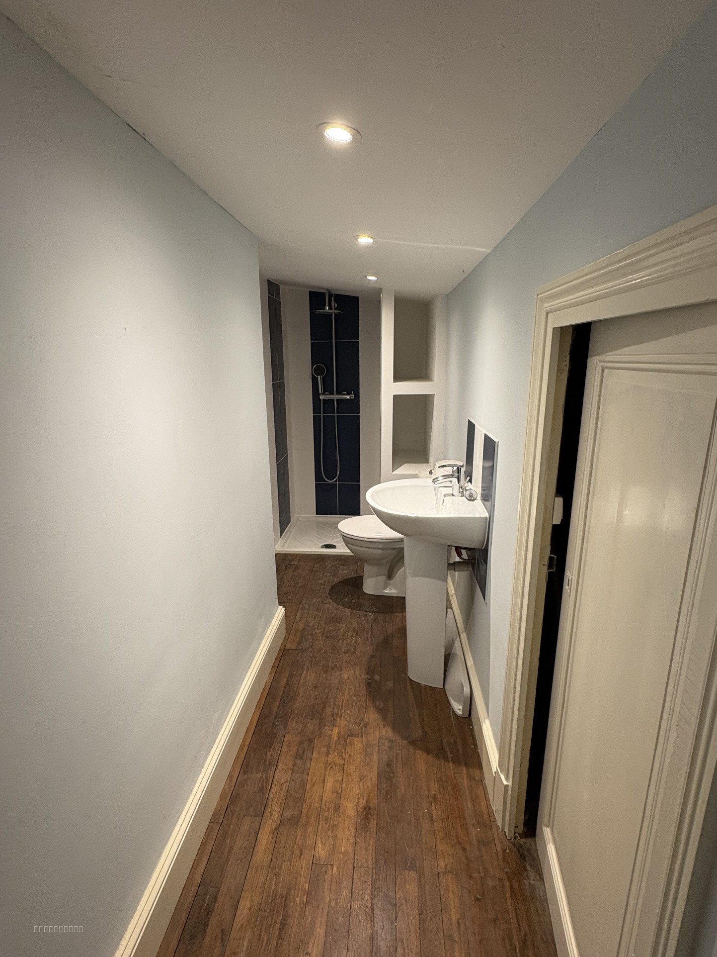 A VENDRE TRES BELLE MAISON BOURGEOISE AVEC PARC PAYSAGER D'UN PEU PLUS D'UN HECTARE ET PISCINE — photo 20