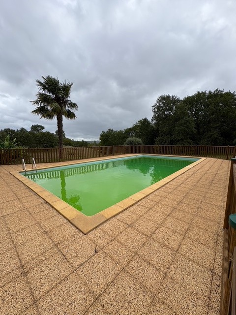BELLE PROPRIETE EN PERIGORD NOIR AVEC DEUX GITES ET PISCINE AVEC PRESQUE 9 HECTARES — photo 8
