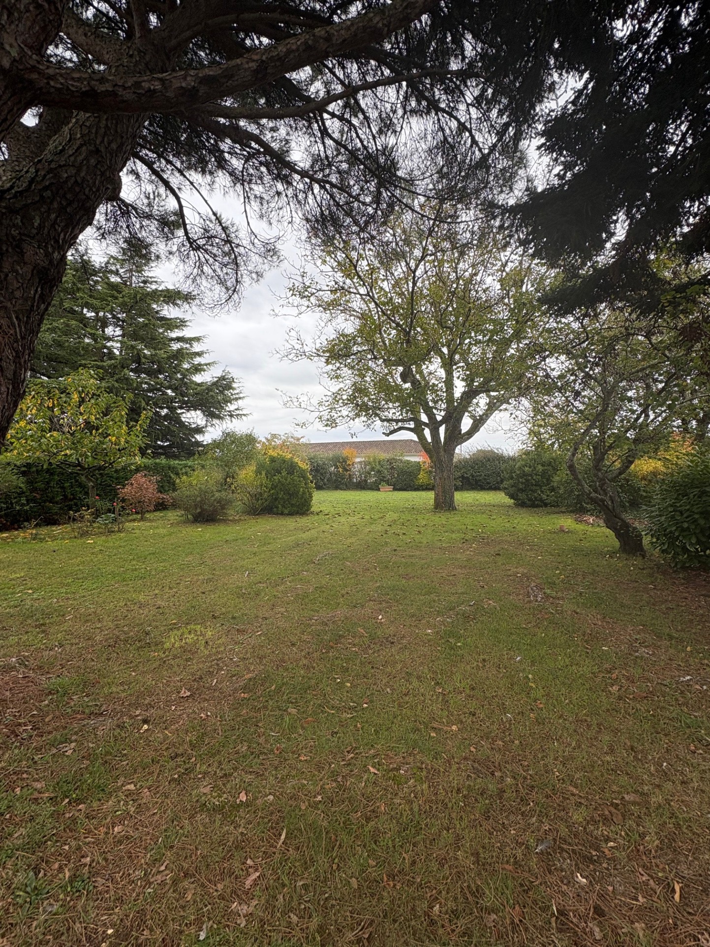 Maison de 4 chambres sur sous sol avec jardin arboré au calme — photo 10