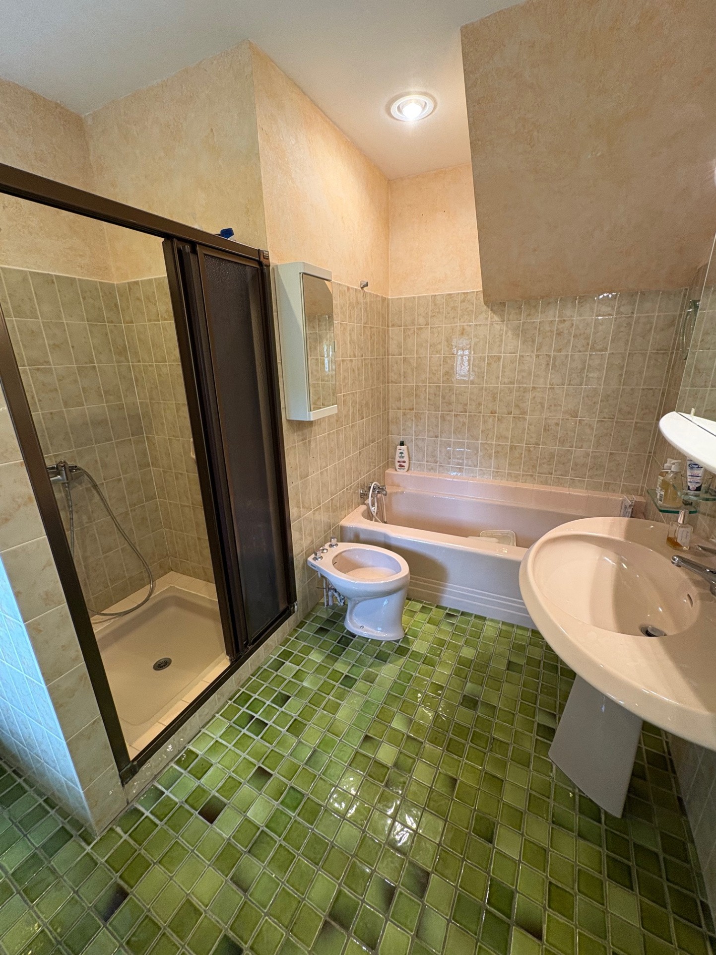 BELLE PROPRIETE EN PERIGORD NOIR AVEC DEUX GITES ET PISCINE AVEC PRESQUE 9 HECTARES — photo 19