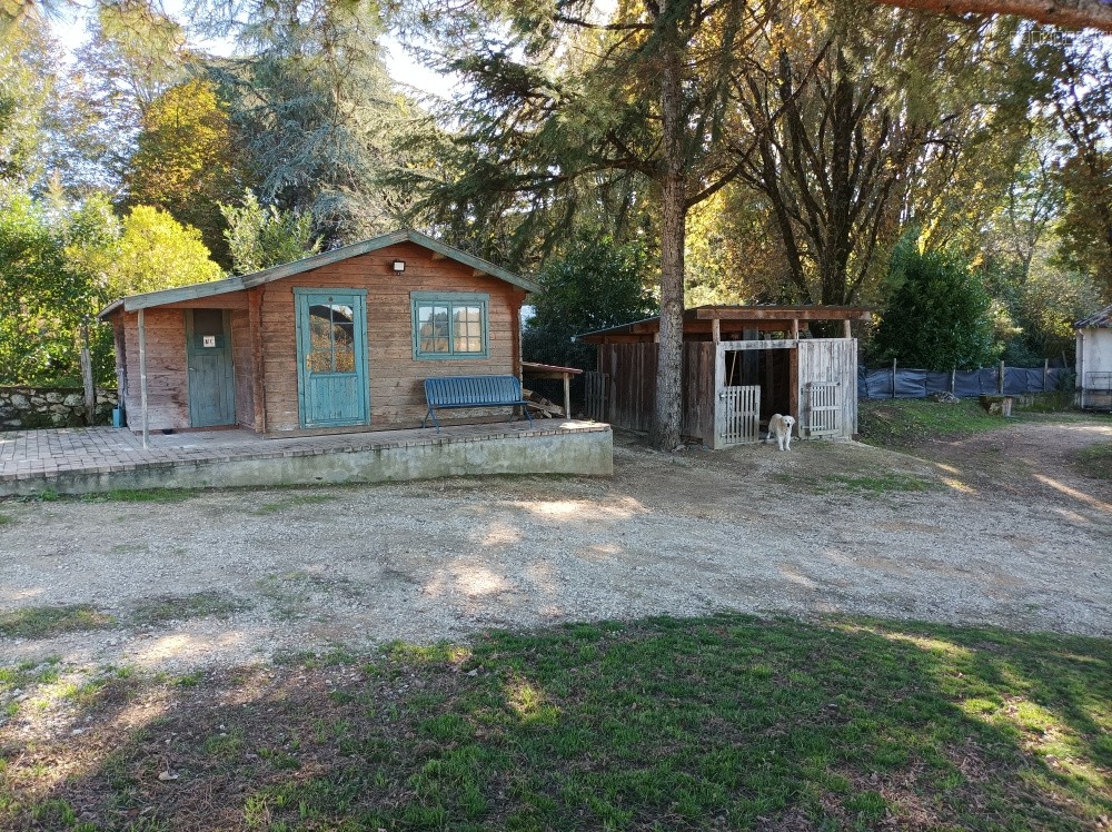Venez découvrir cette agréable maison semi-enterré sur un jolie terrain arboré de 2400 m2 avec un puit — photo 7