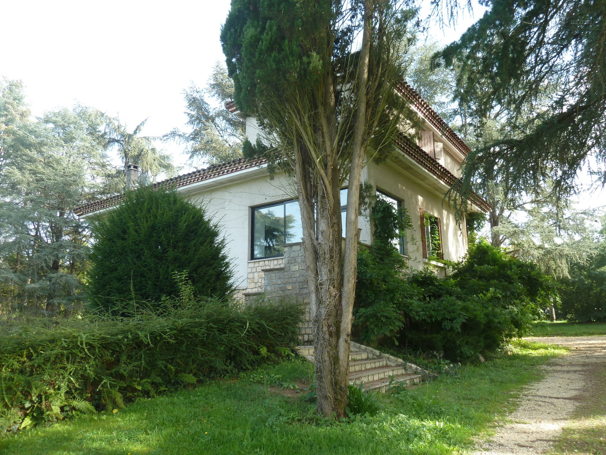 A VENDRE TRES BELLE MAISON BOURGEOISE AVEC PARC PAYSAGER D'UN PEU PLUS D'UN HECTARE ET PISCINE — photo 3