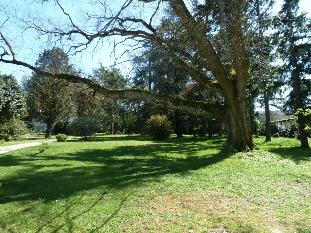 A VENDRE TRES BELLE MAISON BOURGEOISE AVEC PARC PAYSAGER D'UN PEU PLUS D'UN HECTARE ET PISCINE — photo 6
