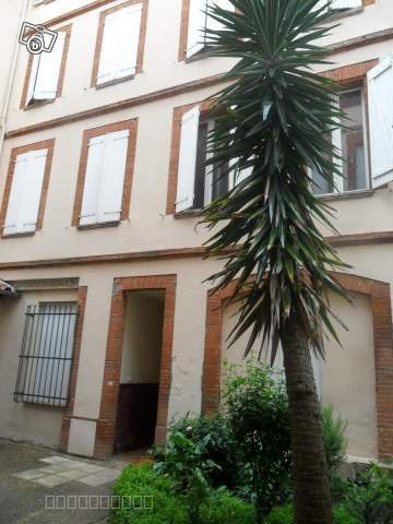 Studio meublé quartier Chalets - Concorde — photo 4