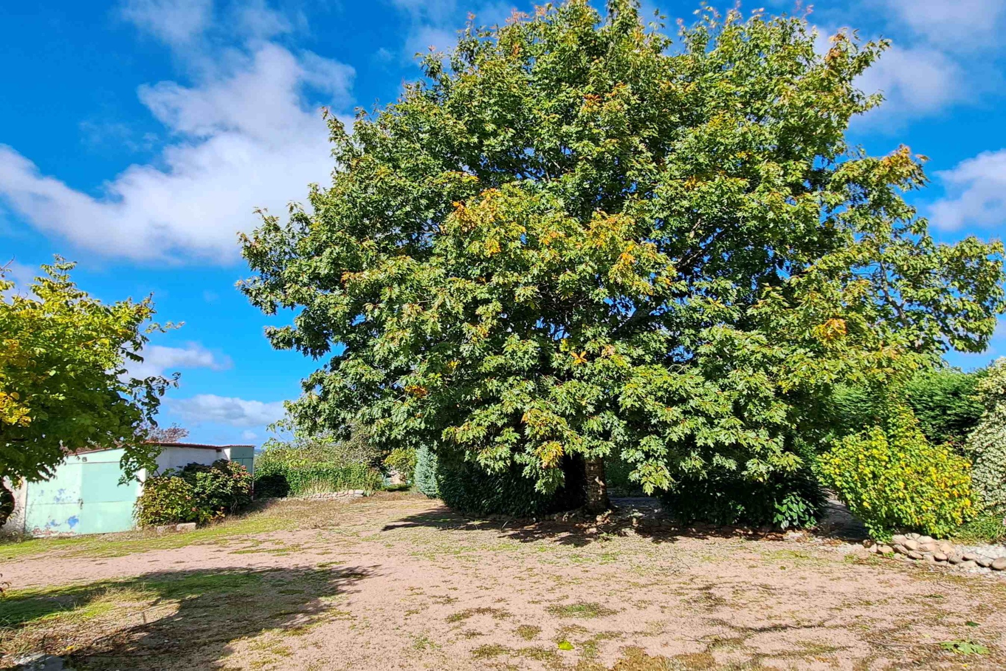 RARE ! Bâtiment récent à usage mixte avec grand potentiel — photo 2