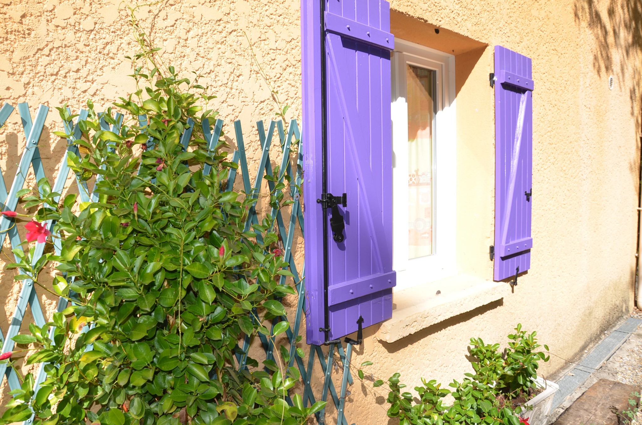 BAUDUEN MAISON D'HOTE 4 APPARTEMENTS POUR LOCATION SAISONNIERE VUE SUR LE LAC — photo 6