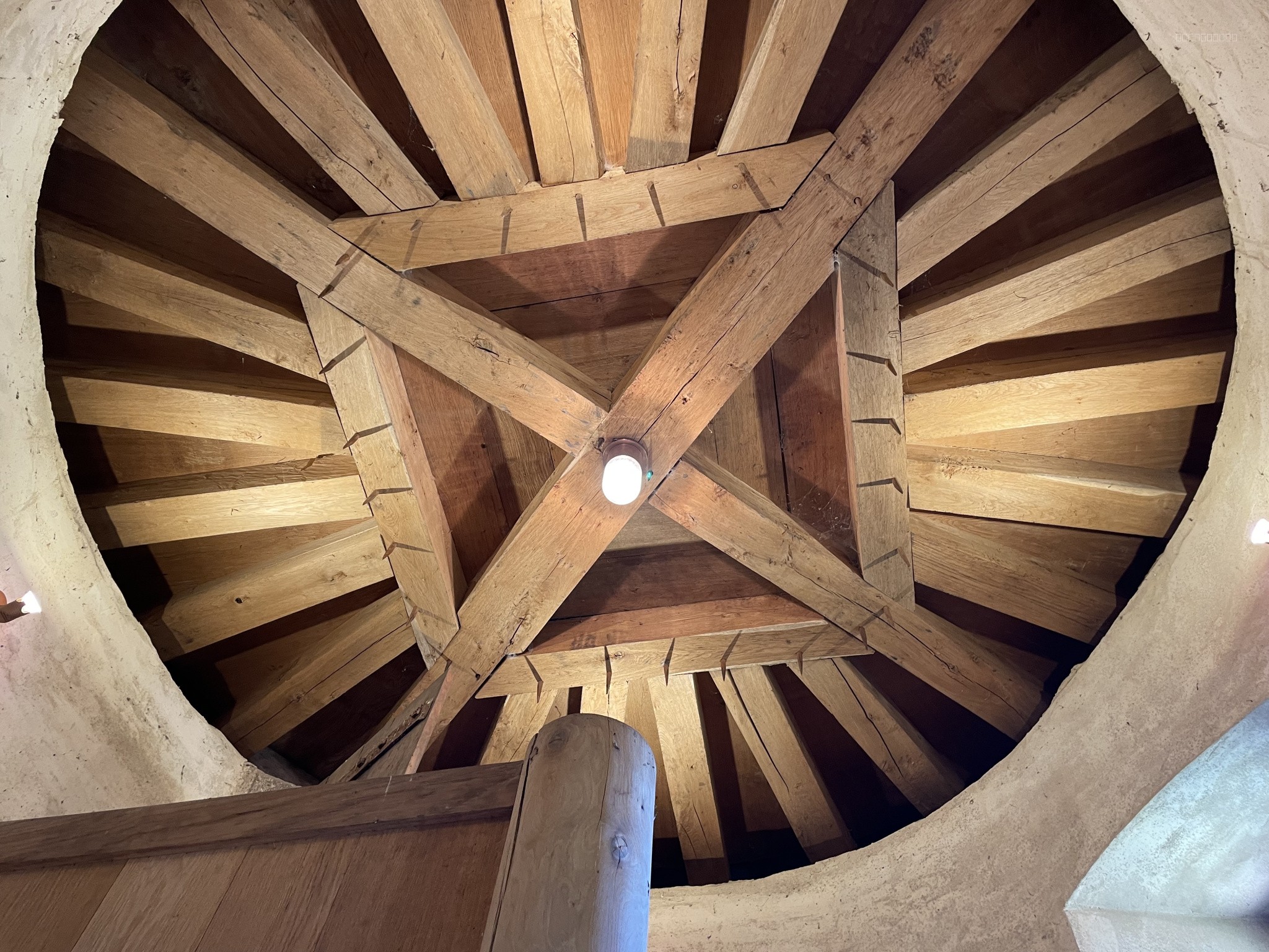 Manoir — photo 17