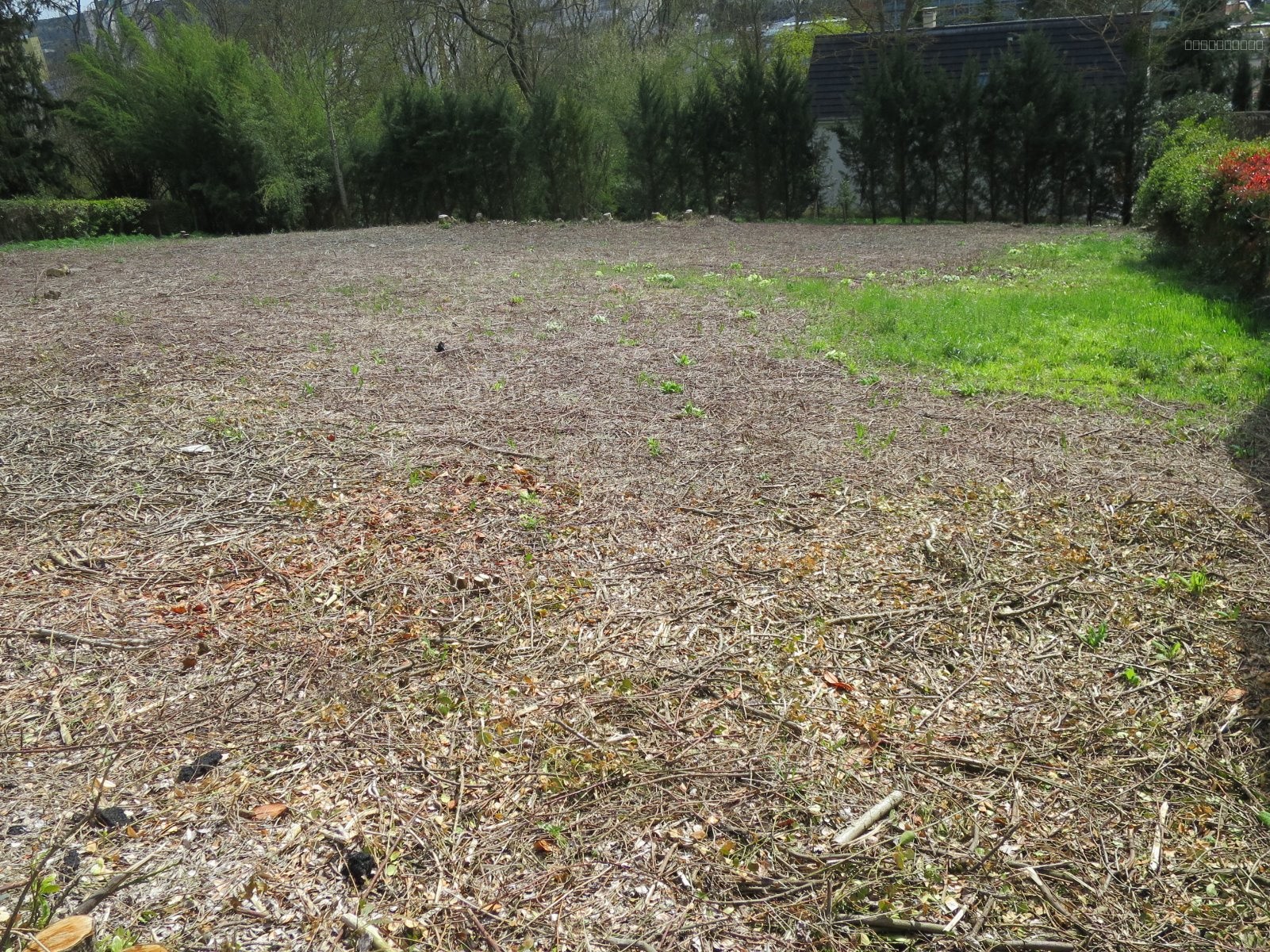 EMPLACEMENT EXCEPTIONNEL TERRAIN DE 700 M2 — photo 3