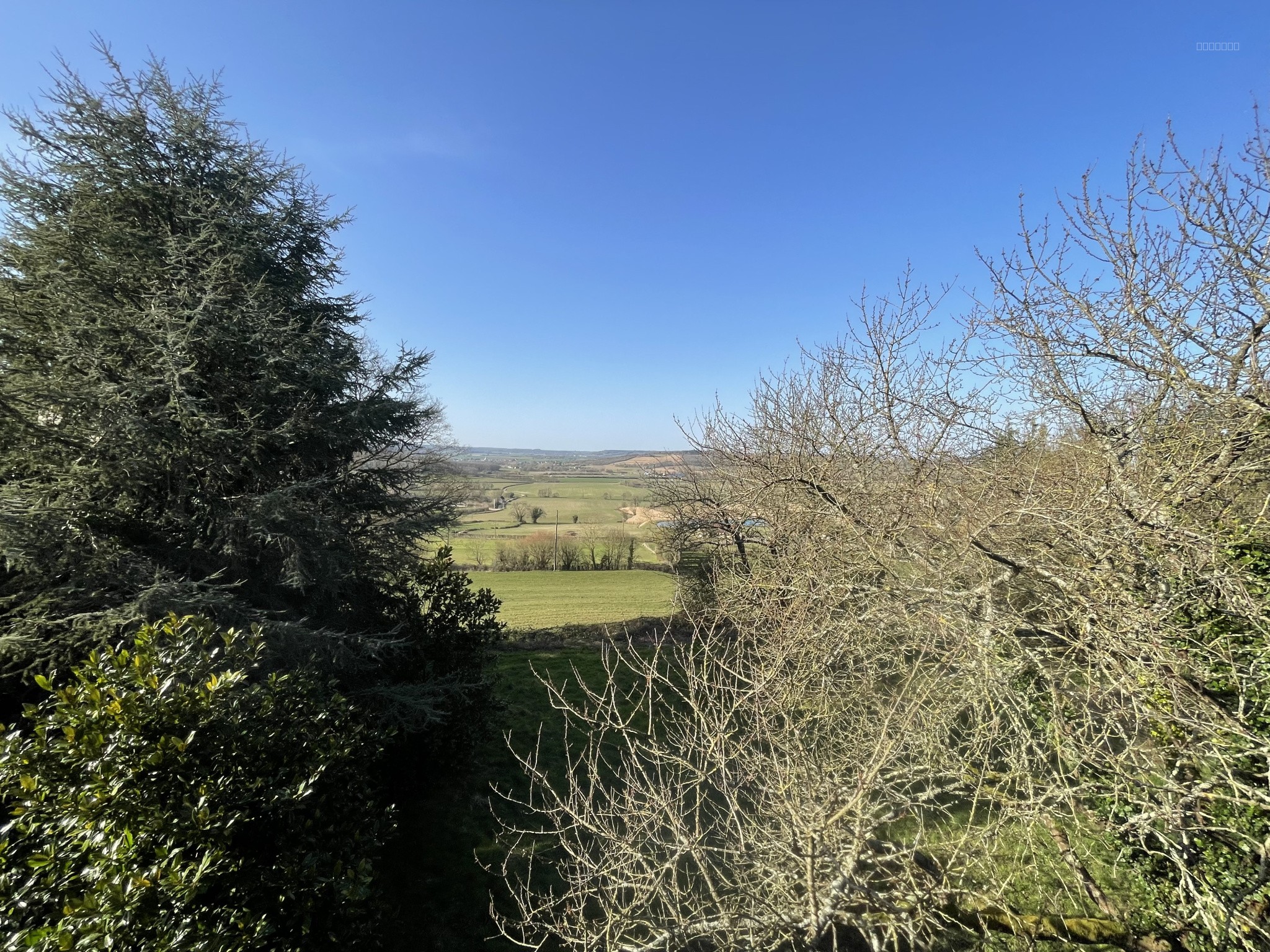 Manoir — photo 19