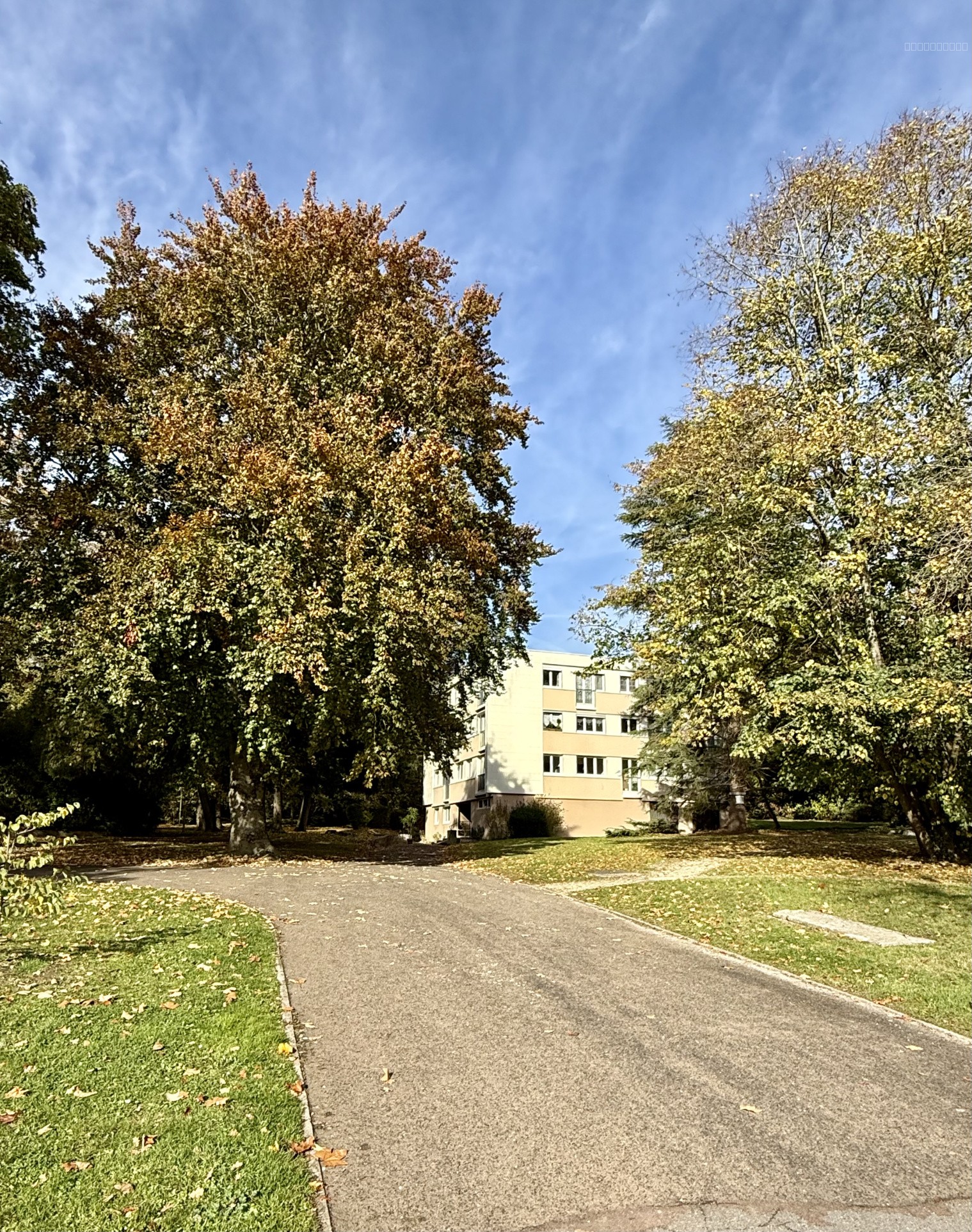 À vendre   Appartement 5 pièces rénové   Résidence du Parc à Villiers sur Orge — photo 11