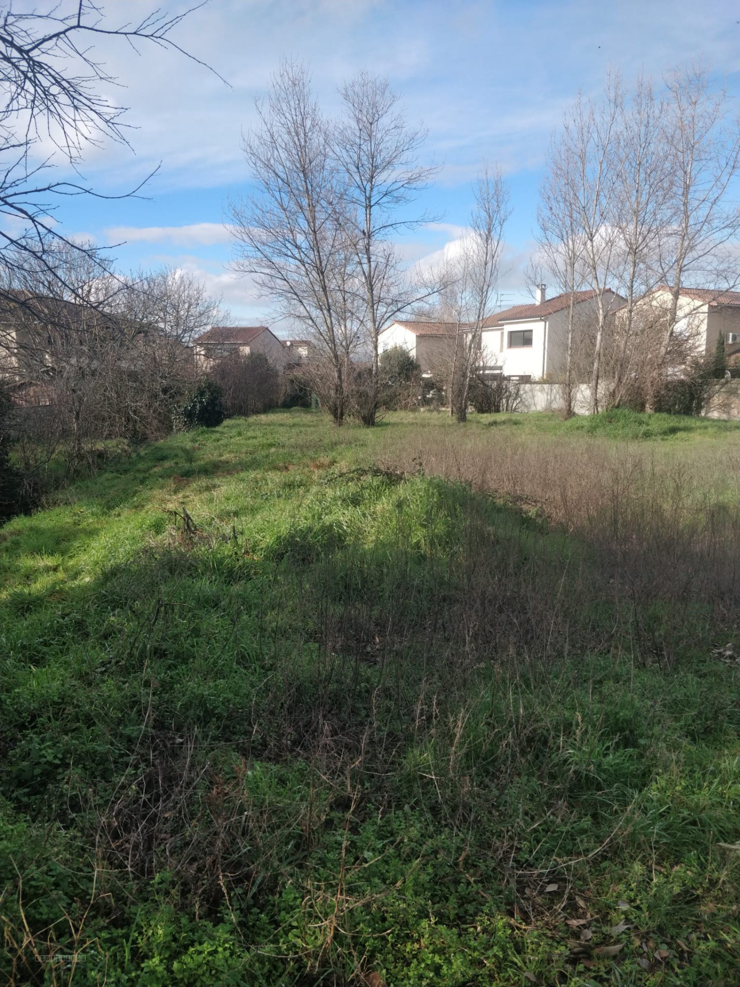 TERRAIN ROUTE DE LAUNAGUET 950 m2 — photo 4