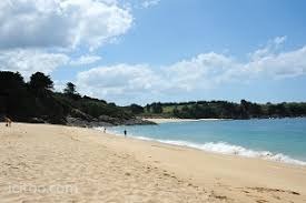 Plage de sable fin à Hirel avec quelques personnes et végétation, terrain à vendre à 100m de la mer.