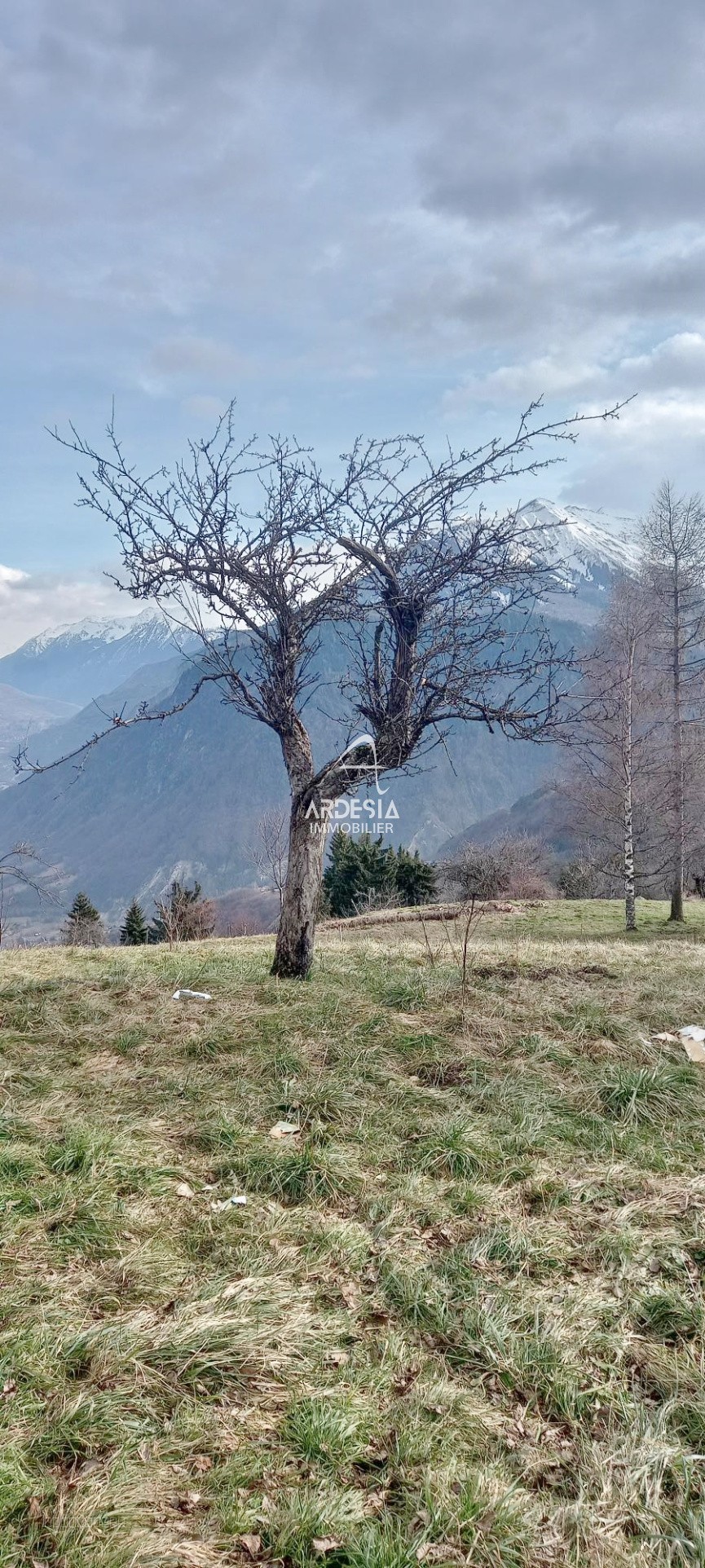 Parcelle de Terrain de 656m2 sur les hauteurs de la commune de JARRIER. — photo 6
