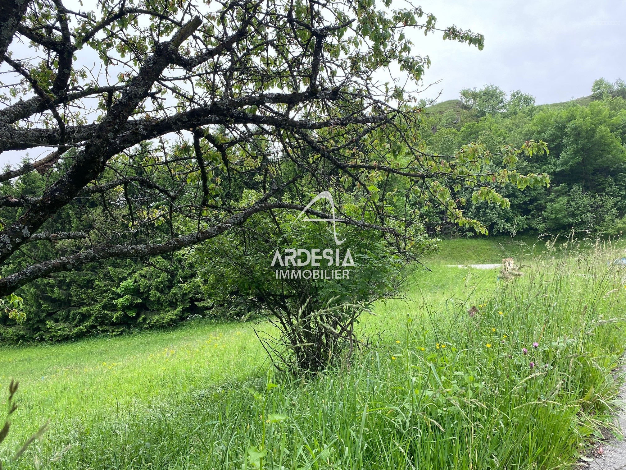 Jarrier. L'authenticité d'un village de Montagne. Lotissement le Bergust. — photo 15
