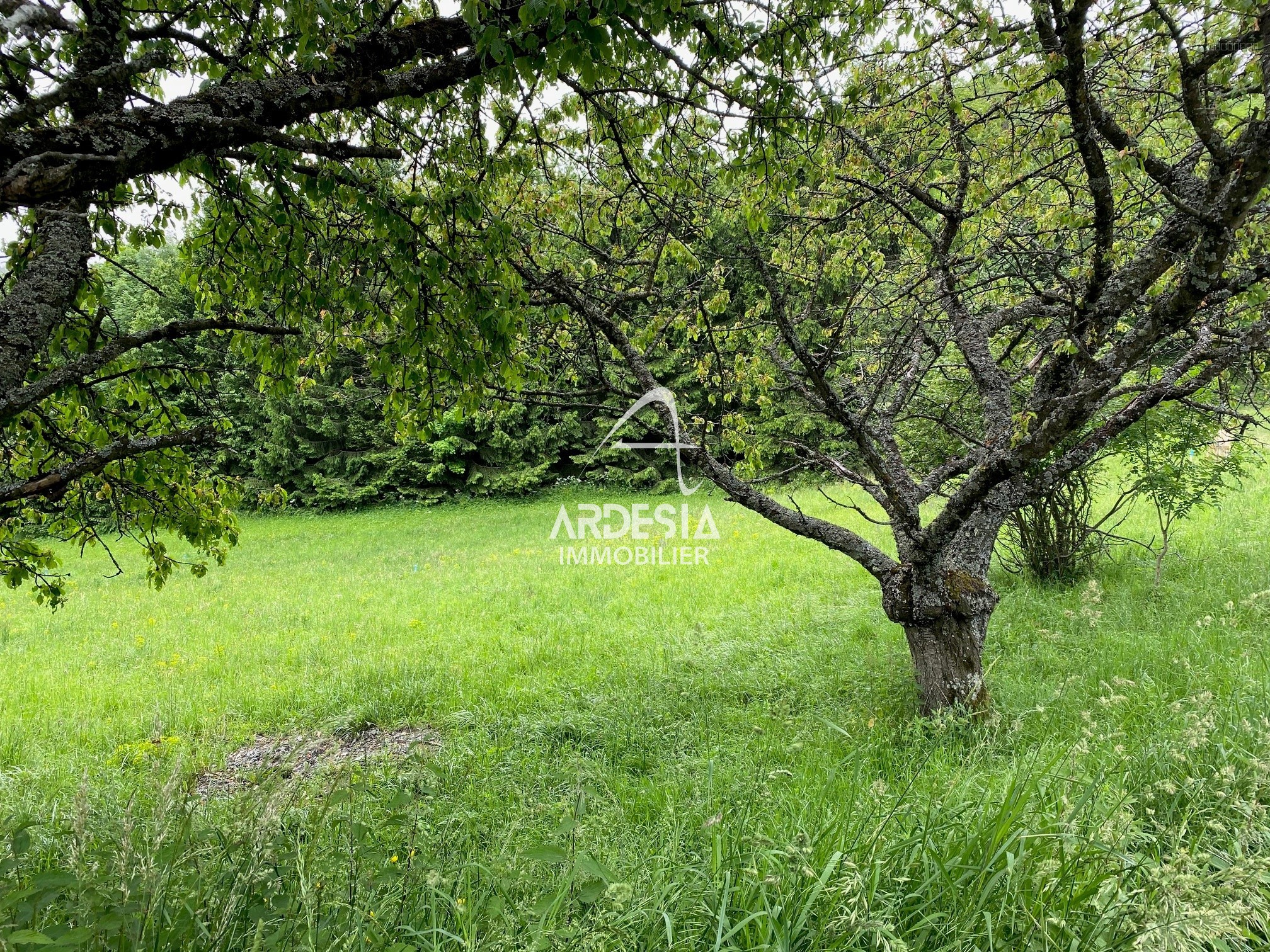 Jarrier. L'authenticité d'un village de Montagne. Lotissement le Bergust. — photo 17