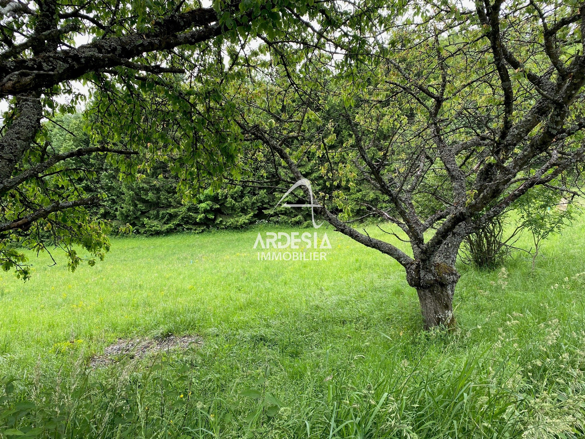 Jarrier. L'authenticité d'un village de Montagne. Lotissement le Bergust. — photo 11