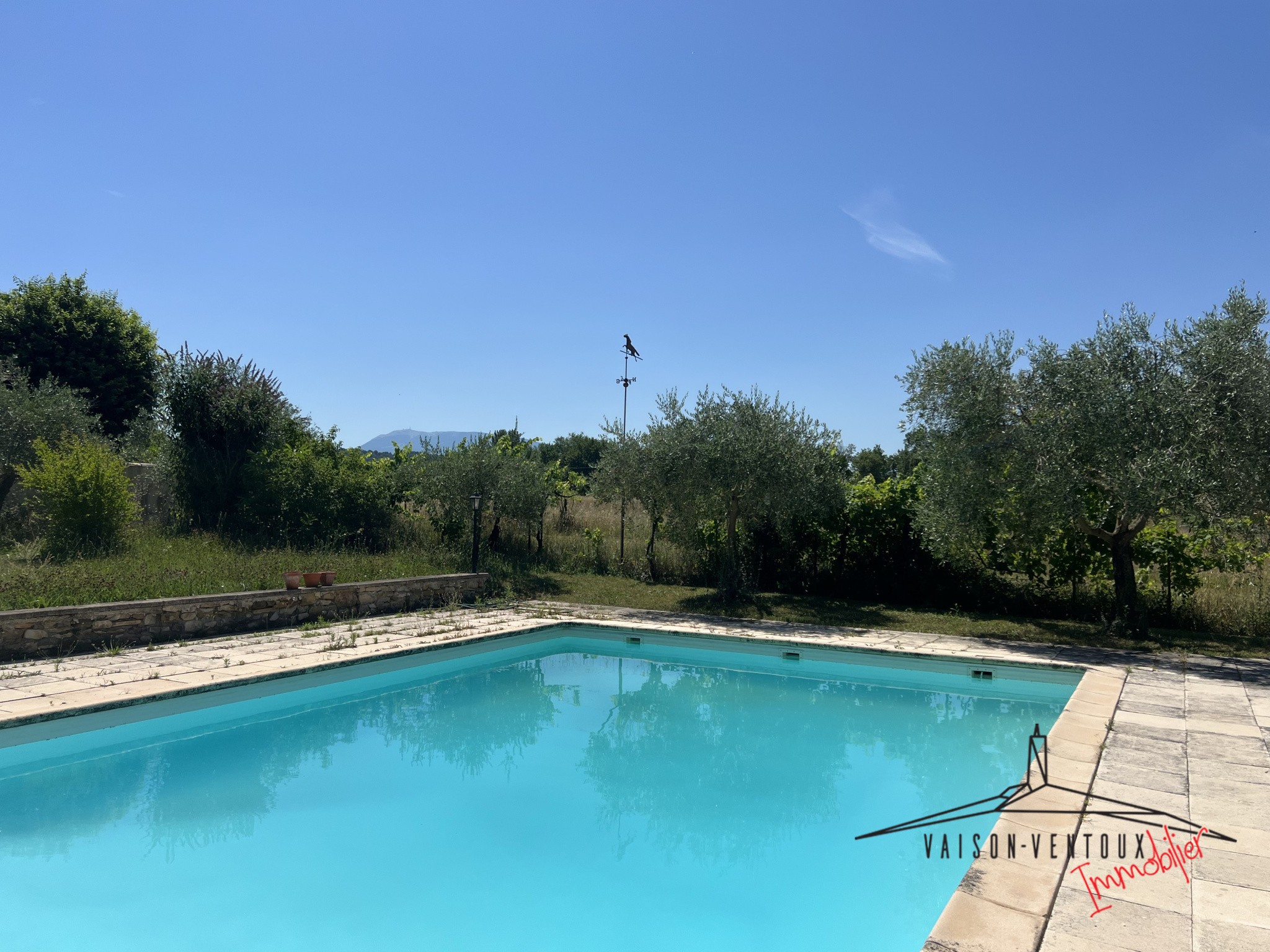 Mas avec vue Ventoux à 10mn de Vaison — photo 4