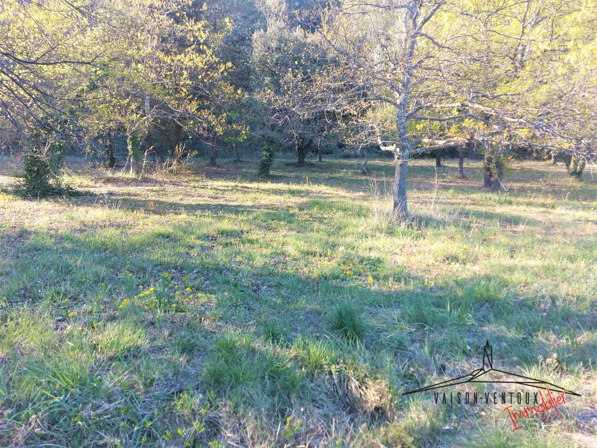 Terrain arboré de 1350 m2 avec permis de constuire pour une habitation de 100m2, un gararge et une piscine. — photo 1