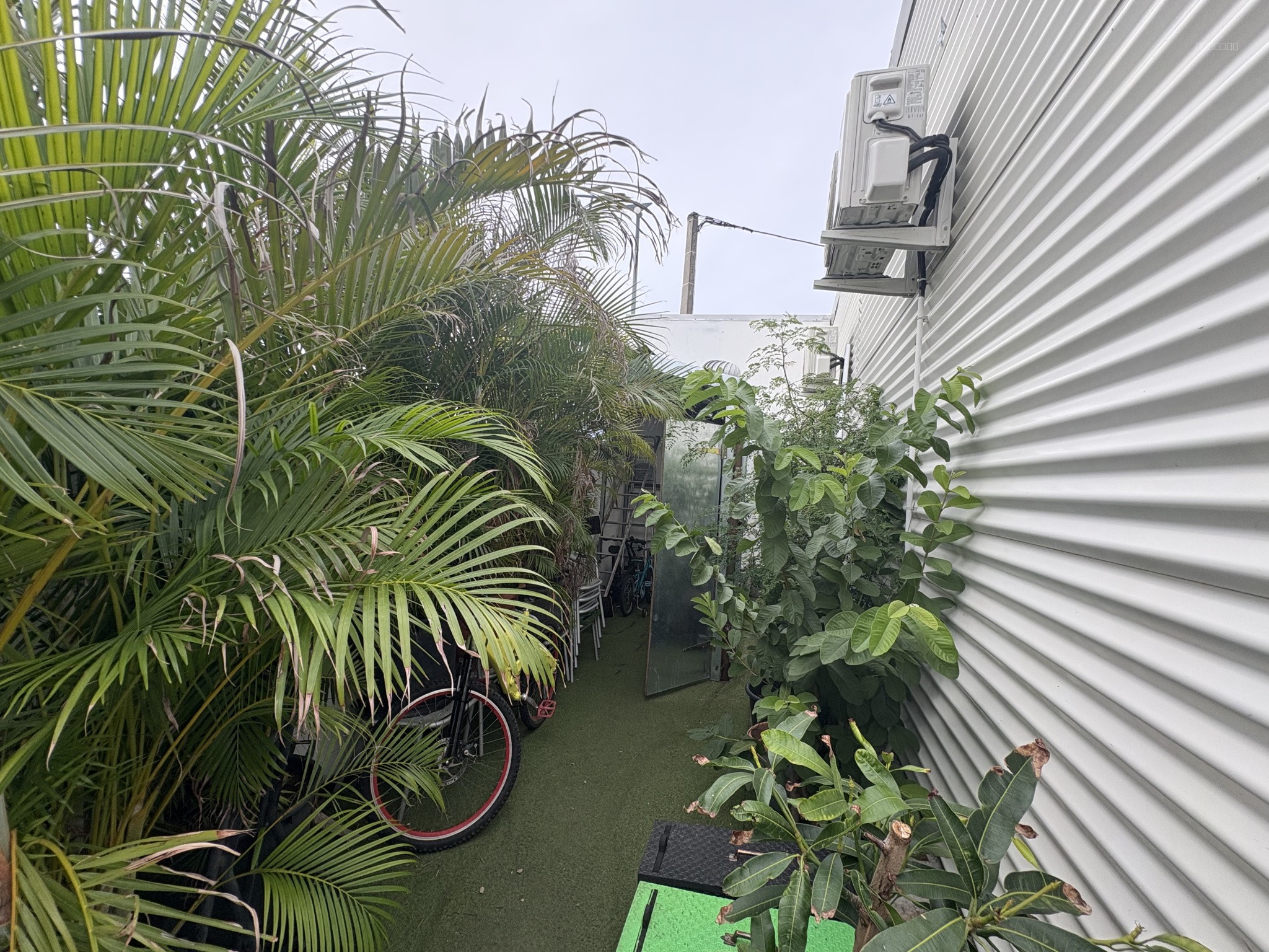 Maison de plain-pied avec vue mer   La Plaine Saint-Paul — photo 15