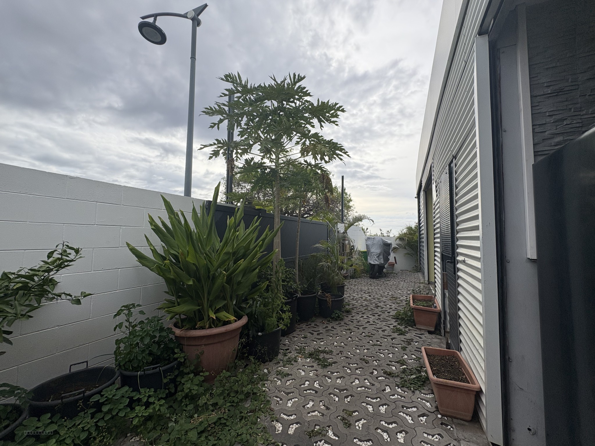 Maison de plain-pied avec vue mer   La Plaine Saint-Paul — photo 14