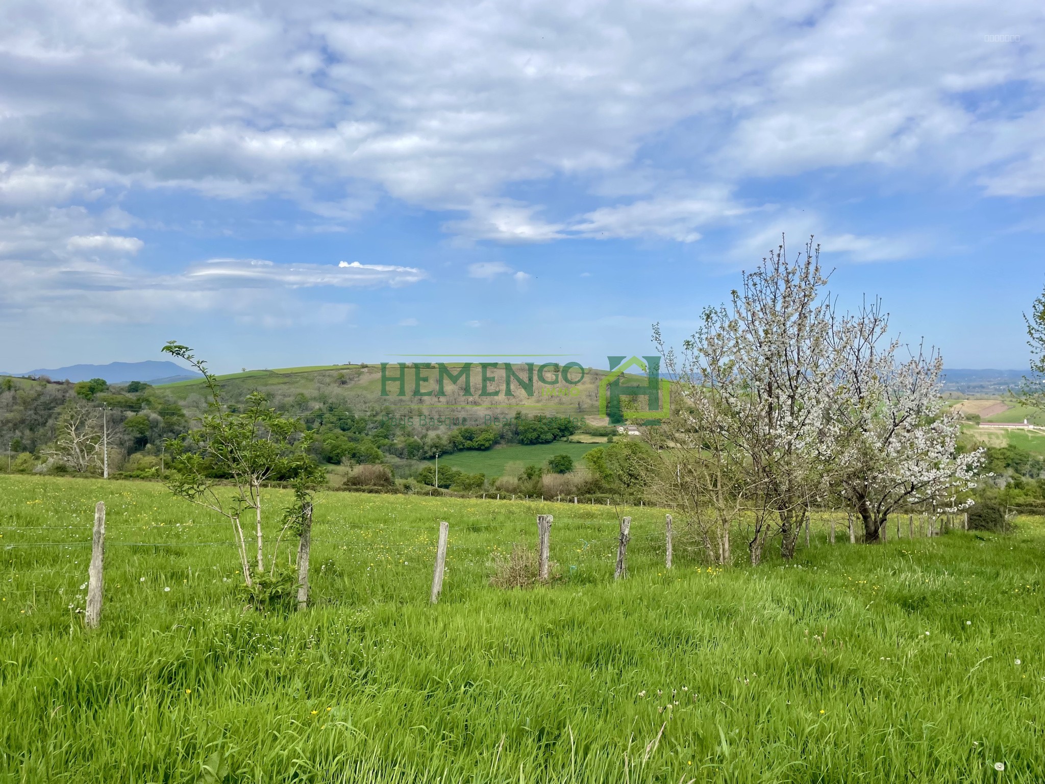 Authenticité, charme et potentiel sur un vaste domaine de plus de 6 hectares — photo 11