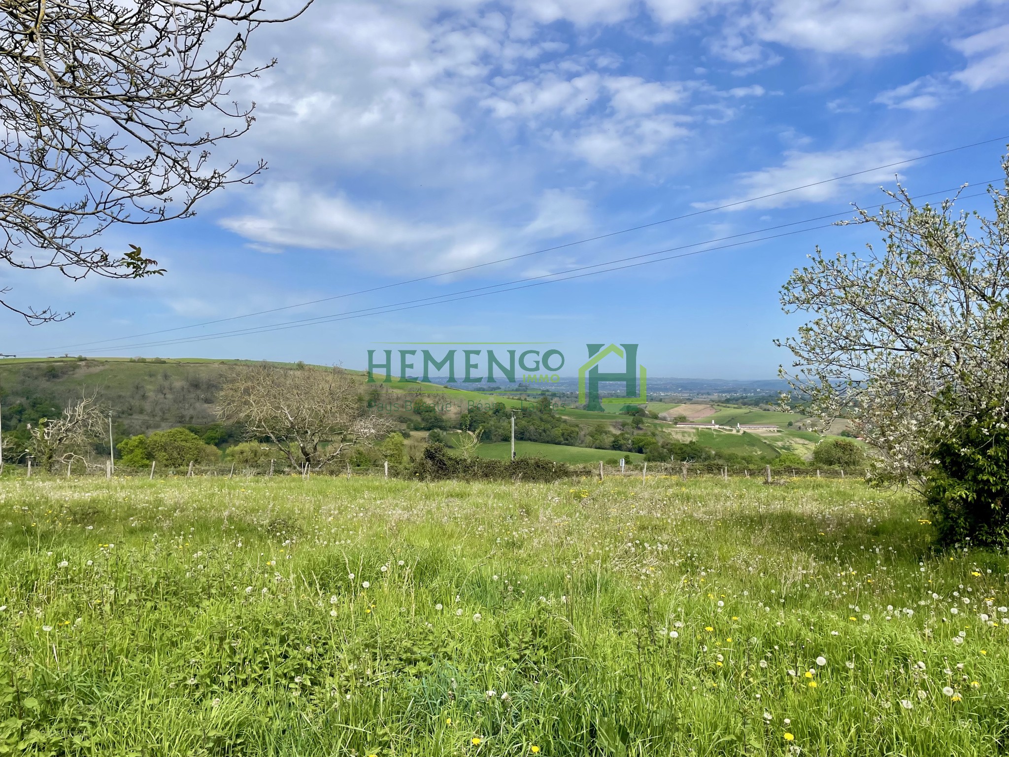 Authenticité, charme et potentiel sur un vaste domaine de plus de 6 hectares — photo 10