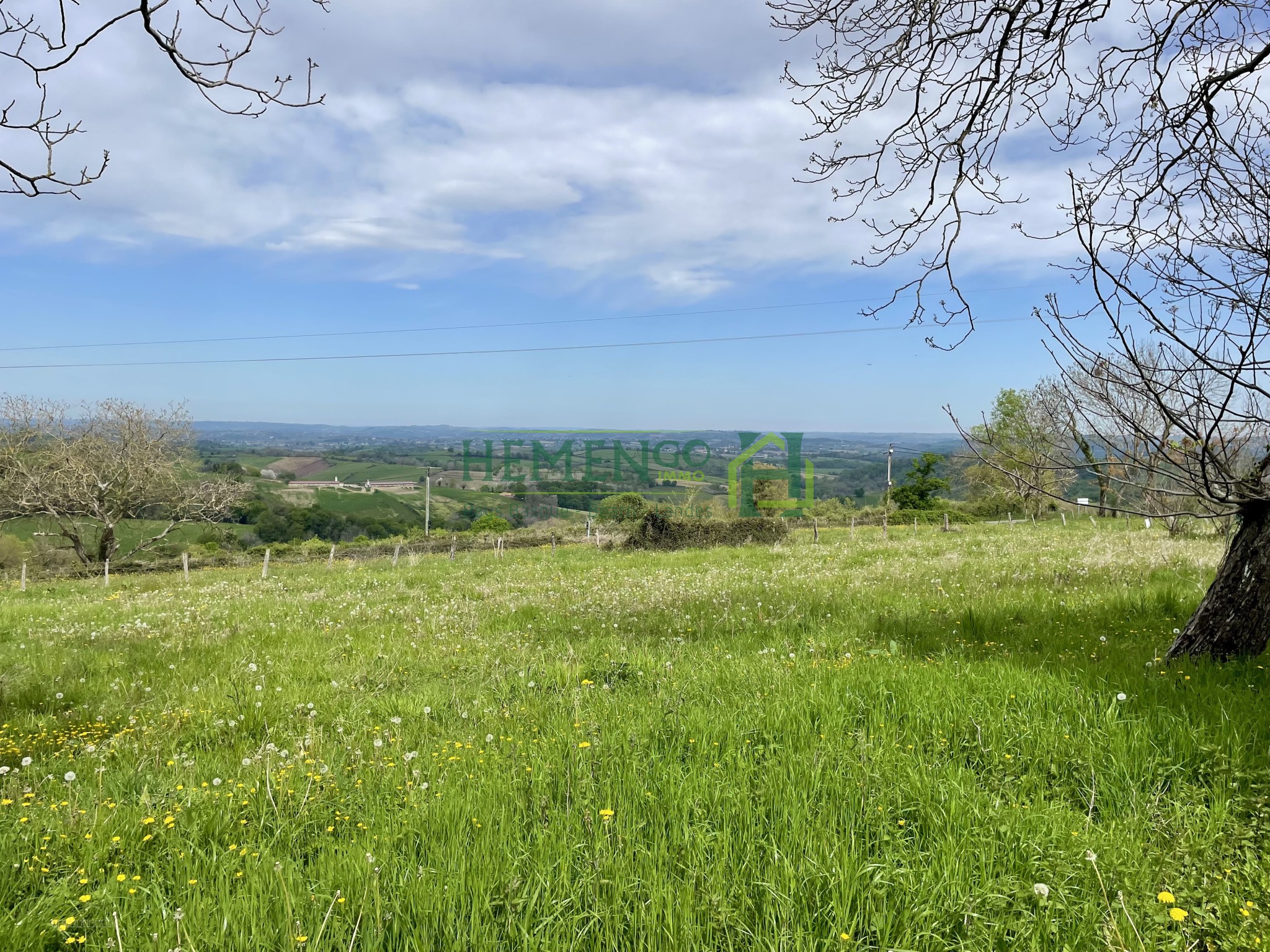 Authenticité, charme et potentiel sur un vaste domaine de plus de 6 hectares — photo 12